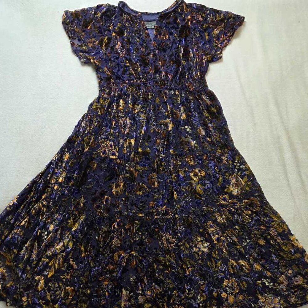 Anthropologie Navy Floral Velvet Maxi Dress with Gold Accents